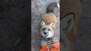 Thumbnail: I was peed on for this video