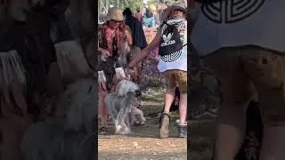 Thumbnail: When you think you went solo to the fest #shorts