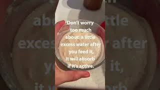 Thumbnail: Dormant to Ready! Gluten-Free Sourdough Starter