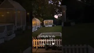 Thumbnail: Twilight in the veggie garden 🤍 #shorts #growyourownfood