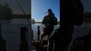 Thumbnail: I've always dreamed of a fishing trip like this. #rivercamping #riveradventures #fishing #catfish