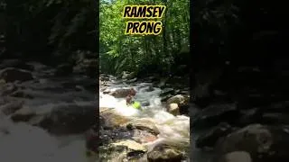 Thumbnail: Micro Creeking - Watch Your Face