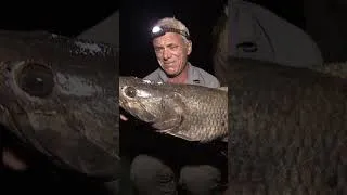 Thumbnail: The Wolfish would attack anything 😯