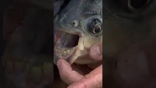 Thumbnail: Watch your fingers AND toes! 😲