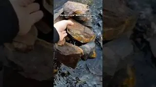 Thumbnail: Primitive Refrigerator