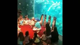 Thumbnail: Penguins with humans
