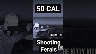 Thumbnail: SHOOTING TRIP IN THE AUSTRALIAN OUTBACK || 50 CAL #hunting #hoghunting #pig #outback