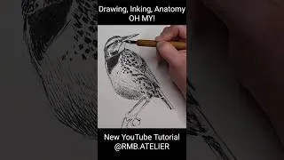 Thumbnail: Drawing deep dive alert‼️#learntodraw #ink #naturejournal