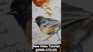 Thumbnail: New video! #watercolortutorial #naturejournal #birdidentification #watercolor #howtodraw #howtopaint