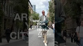 Thumbnail: Is your city getting it wrong when it comes to trees? 🪾