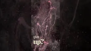 Thumbnail: Brent Faiyaz - Last call (Official Lyrics Video)