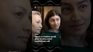 Thumbnail: Green co-leaders speak after AI data centre moratorium call | RNZ