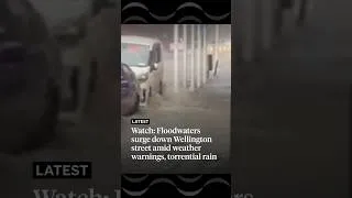 Thumbnail: Torrential rain causes floodwaters to surge down Wellington street | RNZ