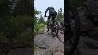 Thumbnail: Mountain Biking in the Rain: Soothing Forest Ride #shorts #mtb #rainyday #wellness #truckee