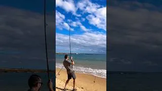 Thumbnail: Dinner is served! Flounder fish on the menu! #shorts #flounder #fishing #australia