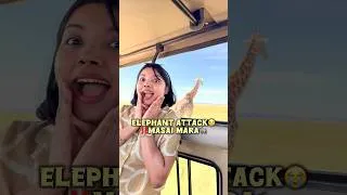 Thumbnail: 🦁MASAI MARA Elephant Attacked Us⁉️😱 #minivlog #masaimara #africa