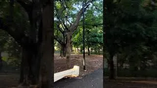 Thumbnail: This is a beautiful Park
