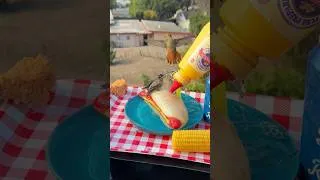 Thumbnail: Hummingbirds Love Leftover Hotdogs after 4th of July the Day After #nationalhotdogday #birds #diy