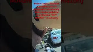 Thumbnail: Felony Suspect detained at gunpoint before being arrested. One of many stories in “SH*T MAGNET”