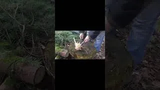 Thumbnail: 6" hex ferrorod