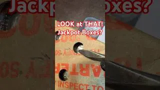 Thumbnail: 2026 Privy Mark Quarter Jackpot - You Won't Believe What I Found!?