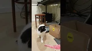 Thumbnail: Amputee Amber with bag stuck on her