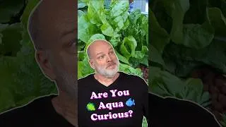 Thumbnail: Why Do You Do Aquaponics?