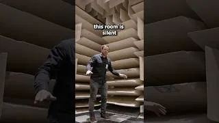 Thumbnail: The Quietest Room On Earth
