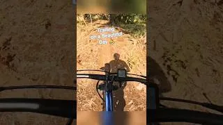 Thumbnail: MTB Trail Ride on a Beautiful Sunny Day 🚵‍♂️☀️  #mtb #trail #bikeride #cycling