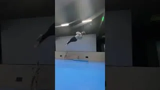 Thumbnail: Slow Mo Gymnast Wipeout 🎬🎥 #shortsvideo #shorts #shortsvideo #youtubeshorts #slowed #fail #gymnast