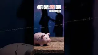 Thumbnail: 喵喵嗚喵喵《你是豬啊》
