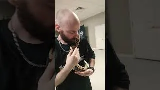 Thumbnail: LIVE SNAKE AD WITH TREVOR TYSON OF HEAL THE HURT!