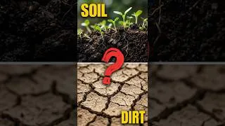 Thumbnail: Fertilizer Won't Save Broken Soil #shorts