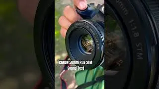Thumbnail: Canon 50mm f1.8 STM || Focus Sound Test #shortsfeed #shorts #sound #test #focus #nifty50 #fyp #fypシ
