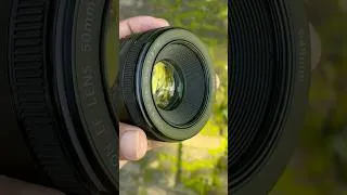 Thumbnail: The Nifty 50 is amazing #lens #upgrade #shorts #shortsfeed #shortvideo #widelens #newlenses #fyp