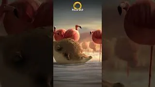 Thumbnail: ROLLIN' WILD - Hungry for Lollipops #animals #animation #wildlife #wildanimals #nature #funny