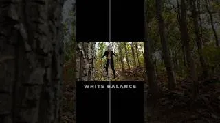 Thumbnail: Color Grading Apple Log on iPhone