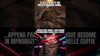 Thumbnail: alle 3 di notte #aimalihavebecome #memcat