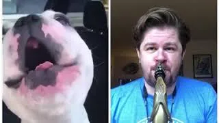 Thumbnail: Walter Geoffrey/ Saxophone Duet