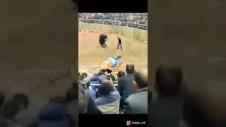 Thumbnail: The power of the Sumo Headbutt