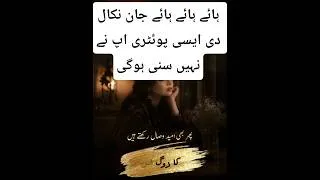 Thumbnail: نئے تعلق کی رغبت، پرانے کی بےقدری | نوشی میر کی شاعری