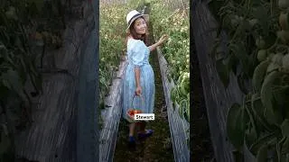 Thumbnail: Gardening tips: best types of raised garden beds #gardening #raisedgardenbeds #gardeningtips