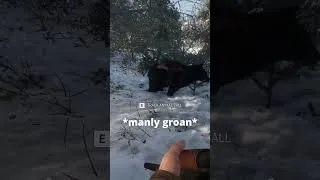 Thumbnail: I got PUNCHED by a BEAR 😭🐻 | theHunter: Call of the Wild #shorts