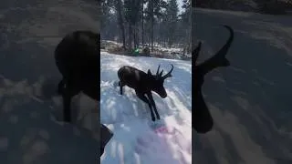 Thumbnail: I Got ATTACKED by a MELA Pronghorn 🦌🔫 | theHunter: Call of the Wild