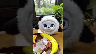 Thumbnail: Your ropet only needs you for snacks. 👀 #ropet #aipet
