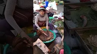 Thumbnail: #cambodia #phnompenhmarket #cambodianstreetmarkets #fish #food #cambodianmarket #market