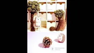 Thumbnail: Little hedgehog searches for pine cones.