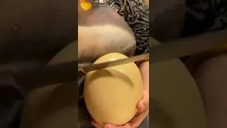 Thumbnail: Making a GIANT Cake From ONE Egg!