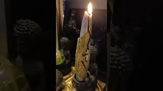 Thumbnail: Roses & Rot Candle Magick