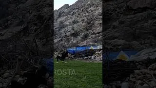 Thumbnail: Dramatic movement of the nomadic boy #nomadiclife #rosta #village